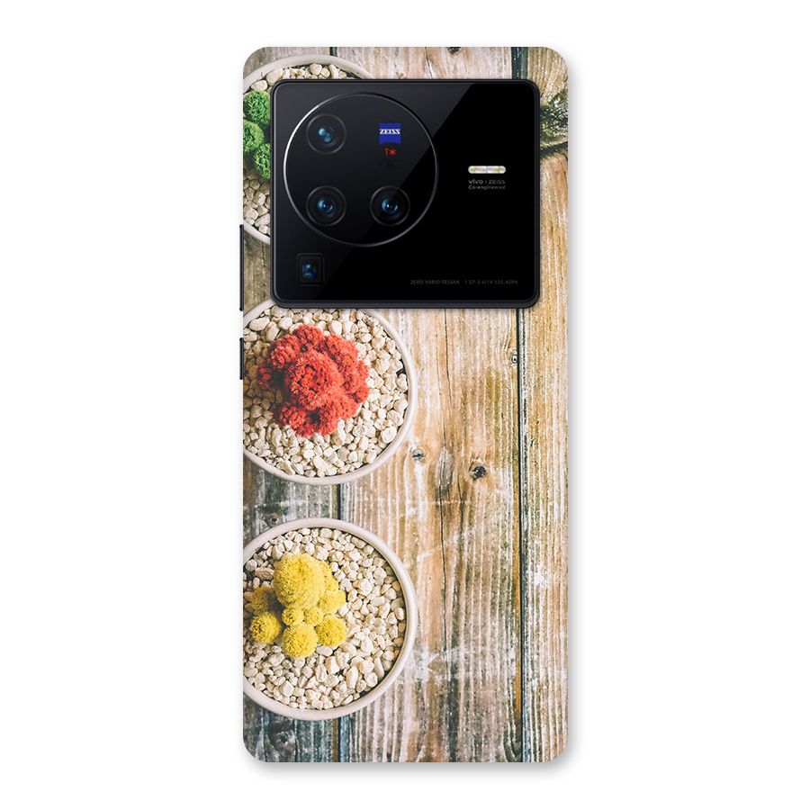 Cacti Decor Back Case for Vivo X80 Pro