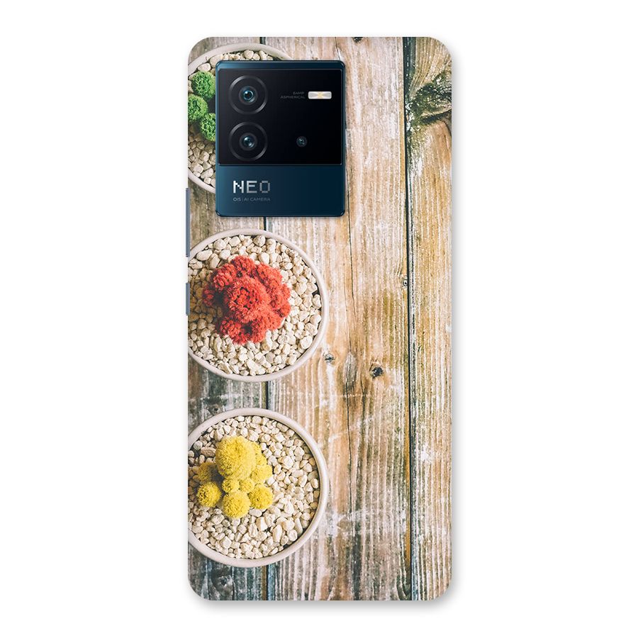 Cacti Decor Back Case for Vivo iQOO Neo 6 5G