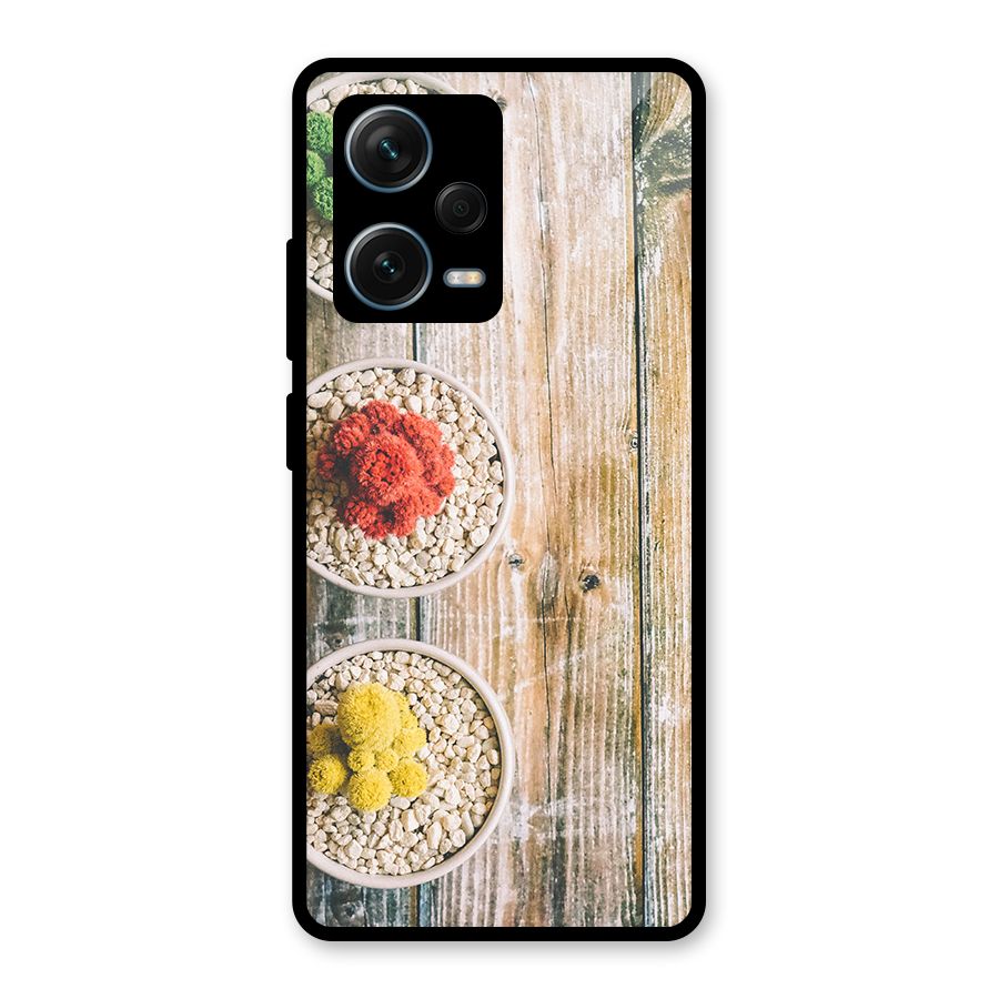 Cacti Decor Glass Back Case for Redmi Note 12 Pro Plus 5G