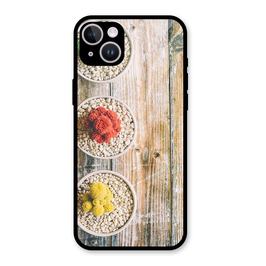 Cacti Decor Glass Back Case for iPhone 14 Plus
