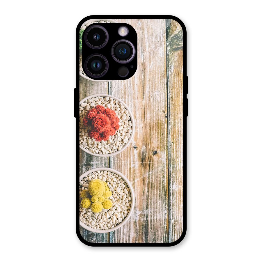 Cacti Decor Glass Back Case for iPhone 14 Pro Max