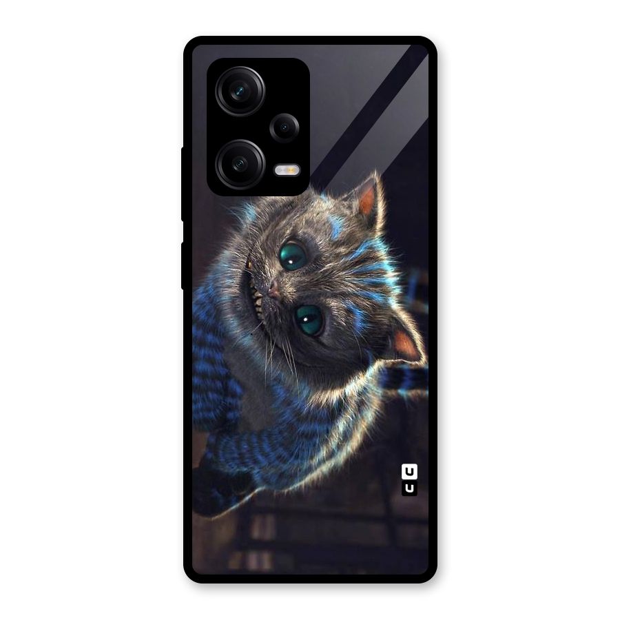 Cat Smile Glass Back Case for Redmi Note 12 Pro