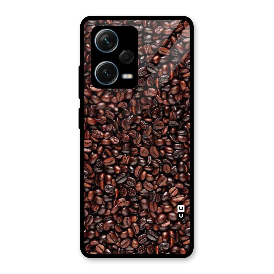 Cocoa Beans Glass Back Case for Redmi Note 12 Pro Plus 5G