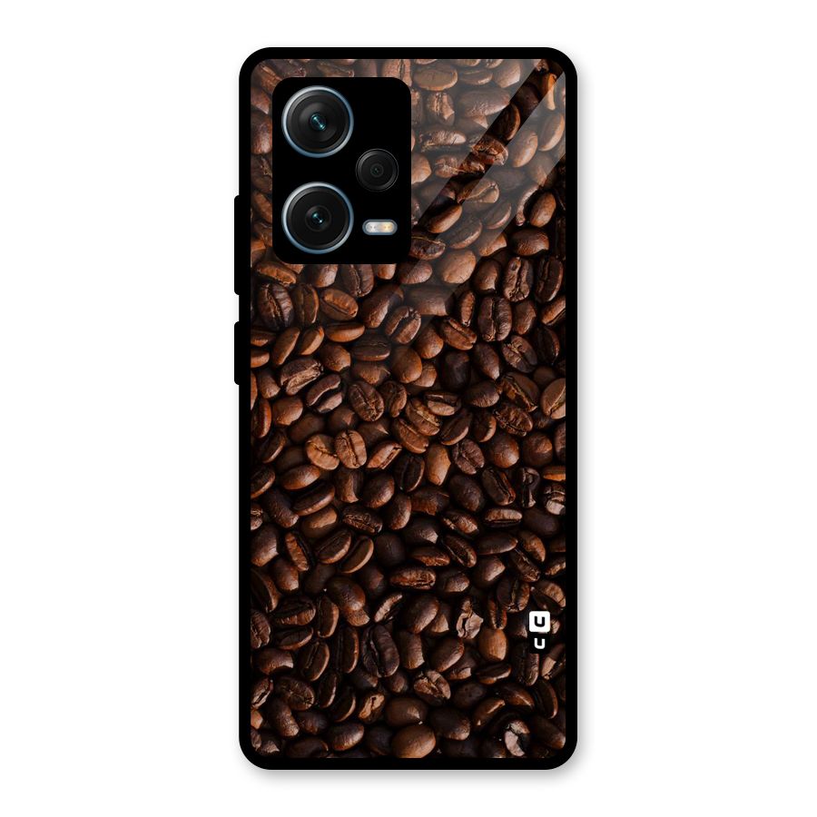 Coffee Beans Scattered Glass Back Case for Redmi Note 12 Pro Plus 5G