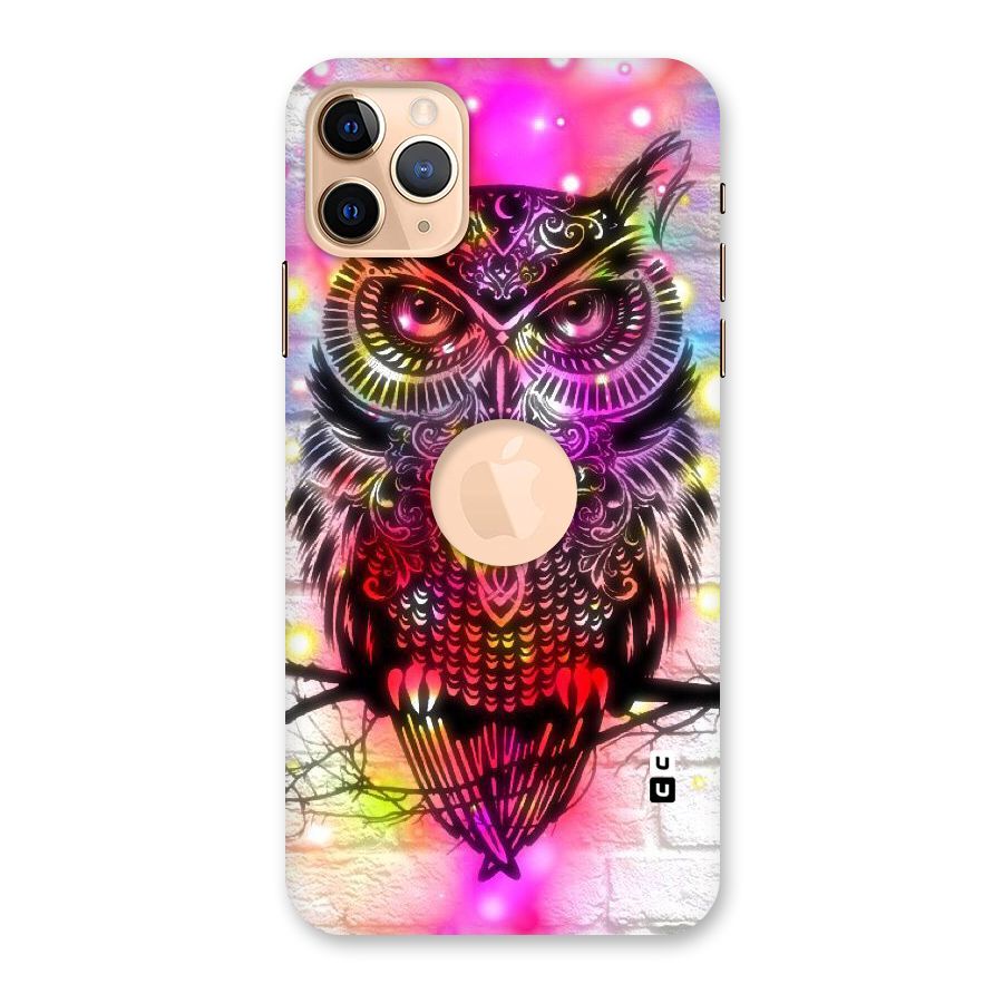 Colourful Owl Back Case for iPhone 11 Pro Max Logo Cut