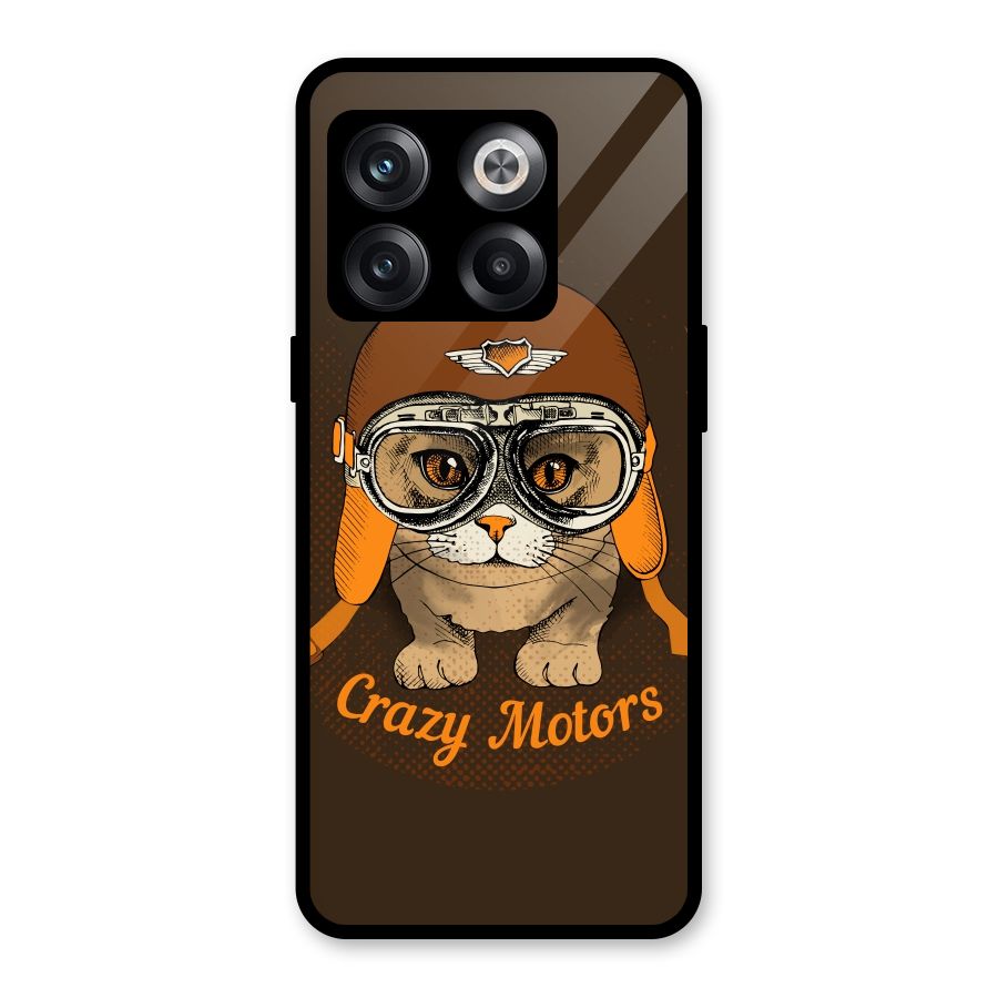 Crazy cat Glass Back Case for OnePlus 10T