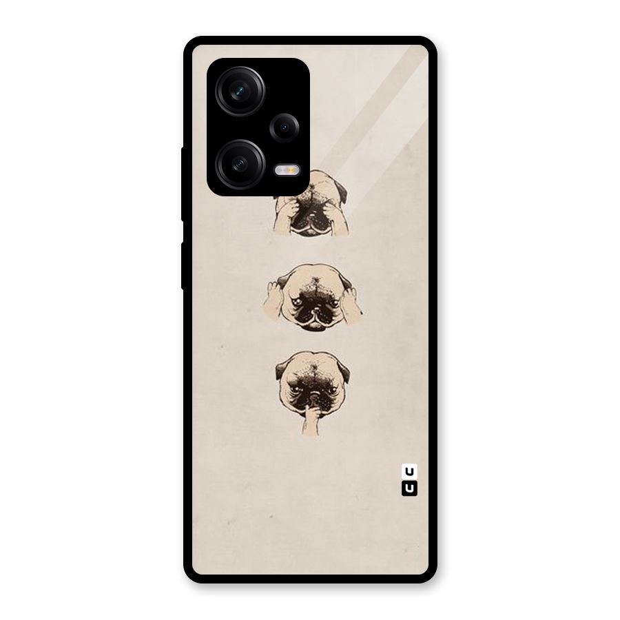 Doggo Moods Glass Back Case for Redmi Note 12 Pro