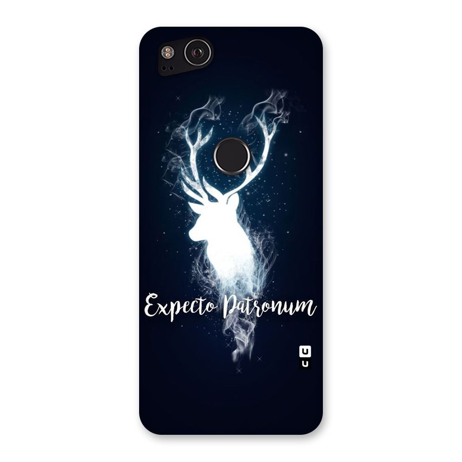 Expected Wish Back Case for Google Pixel 2