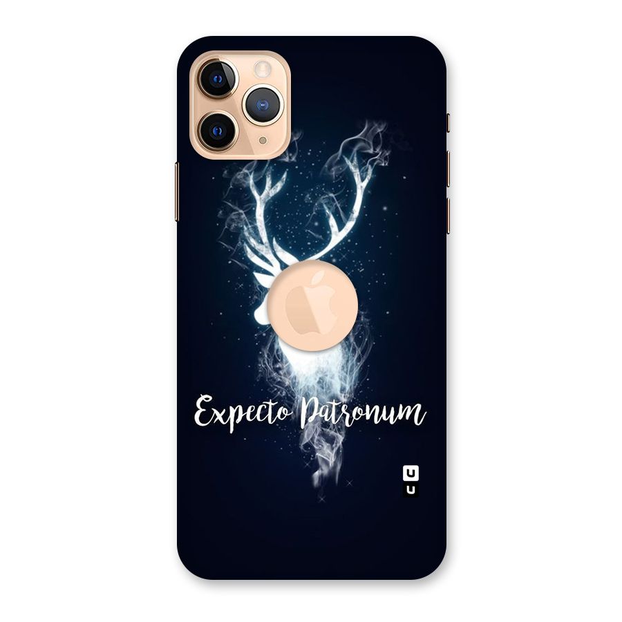 Expected Wish Back Case for iPhone 11 Pro Max Logo Cut
