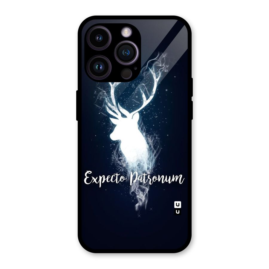Expected Wish Glass Back Case for iPhone 14 Pro Max
