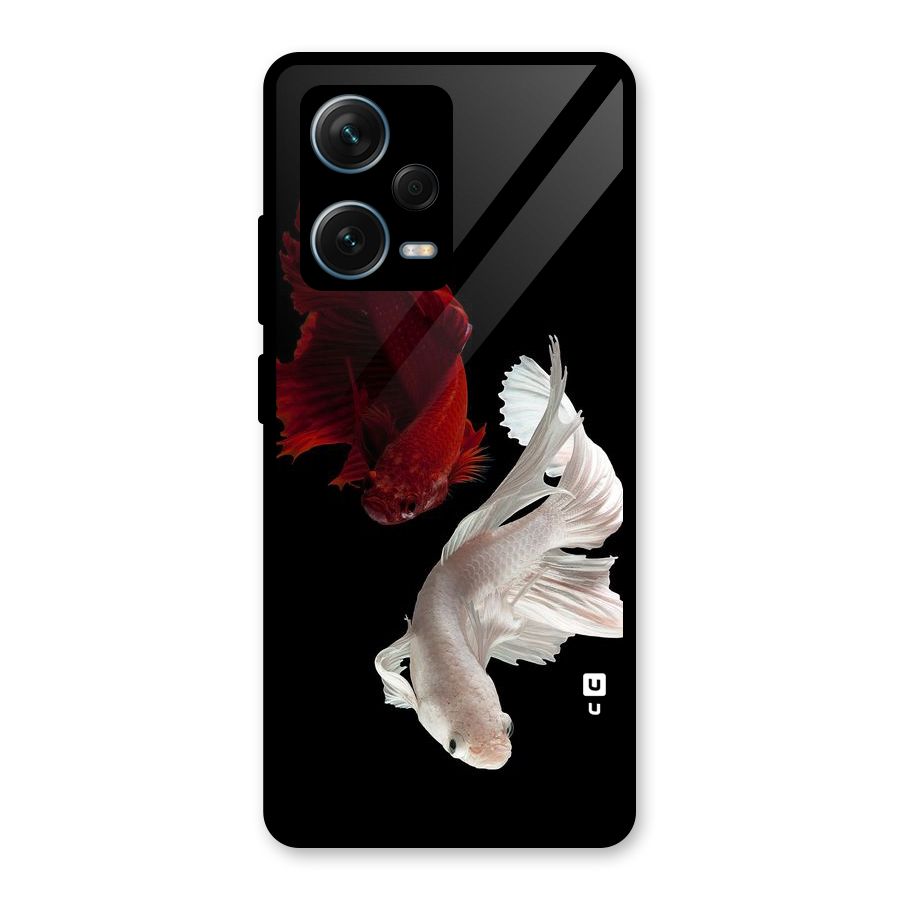 Fish Design Glass Back Case for Redmi Note 12 Pro Plus 5G