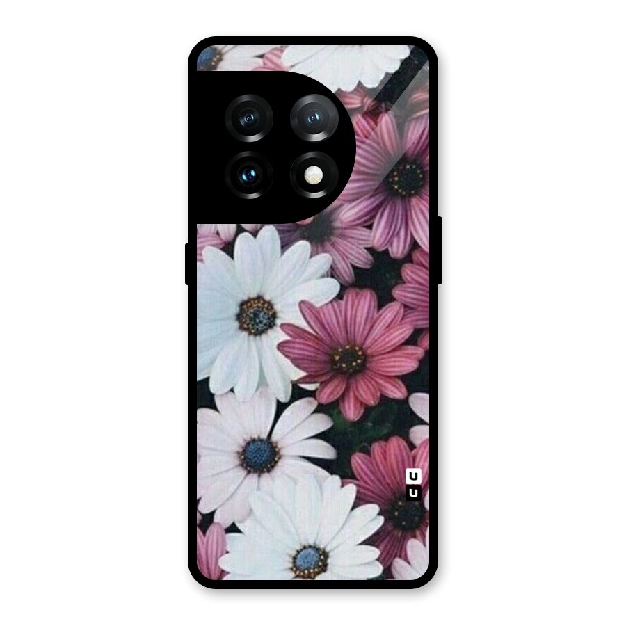 Floral Shades Pink Glass Back Case for OnePlus 11