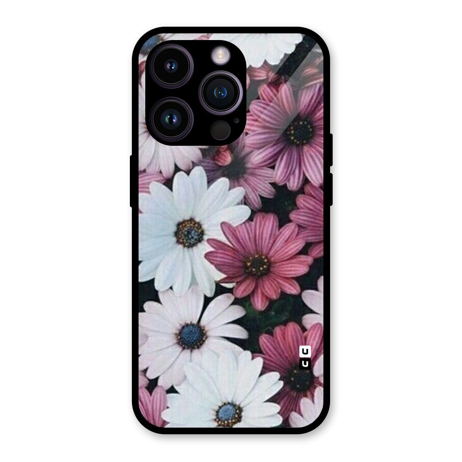 Floral Shades Pink Glass Back Case for iPhone 14 Pro
