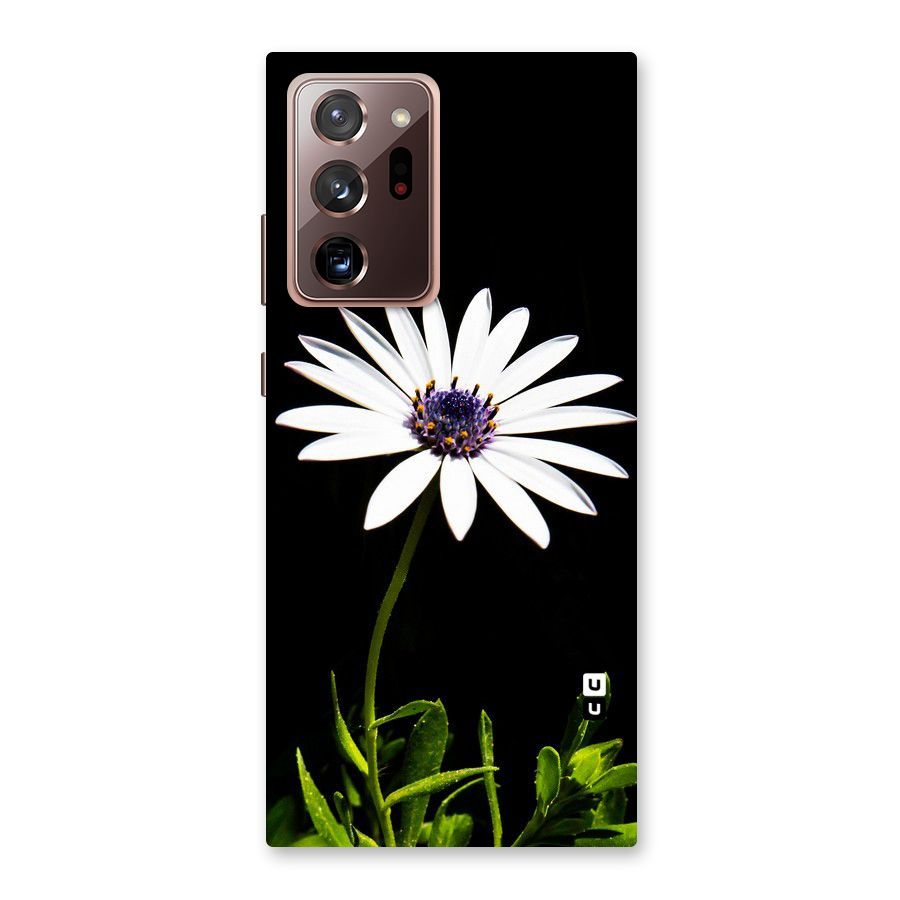Flower White Spring Back Case for Galaxy Note 20 Ultra