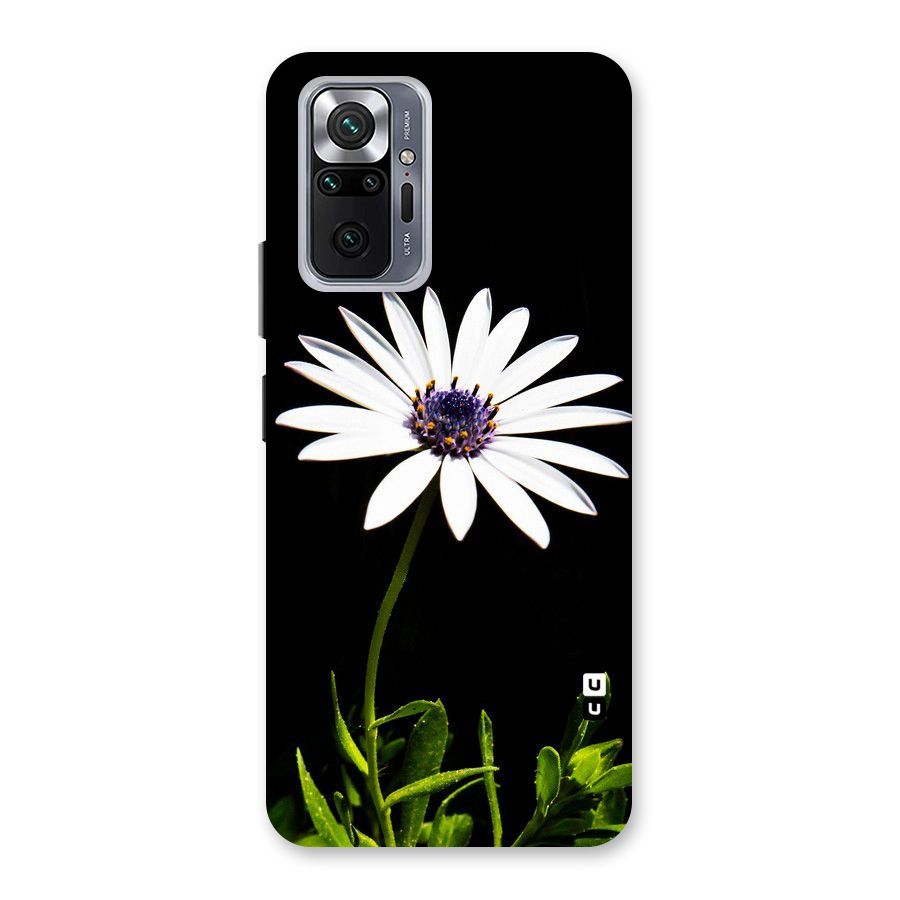 Flower White Spring Back Case for Redmi Note 10 Pro Max