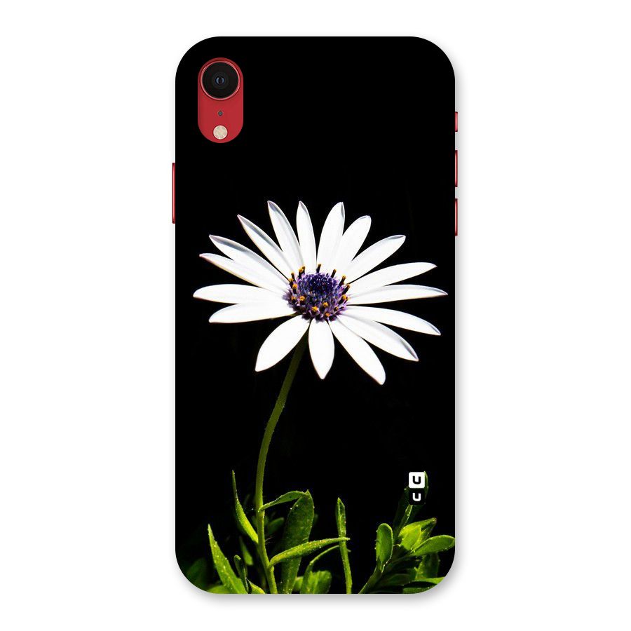 Flower White Spring Back Case for iPhone XR