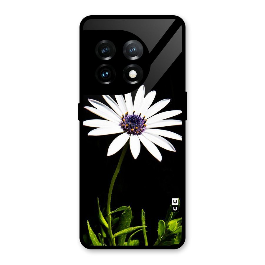 Flower White Spring Glass Back Case for OnePlus 11
