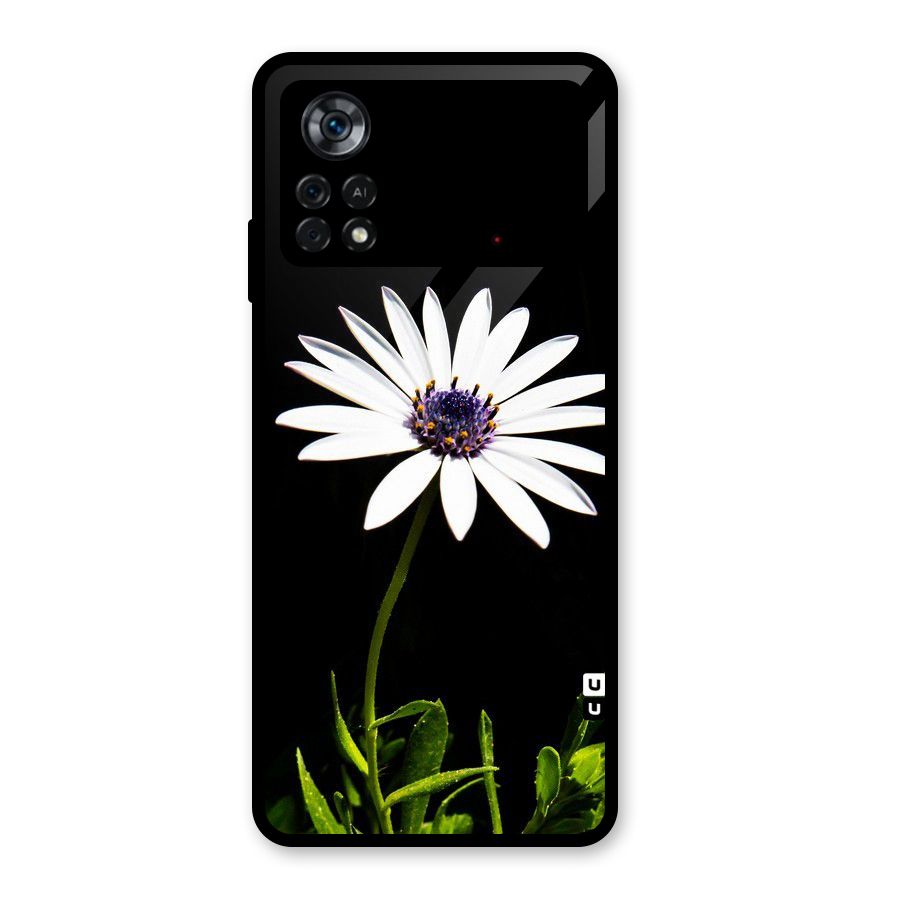 Flower White Spring Glass Back Case for Poco X4 Pro 5G