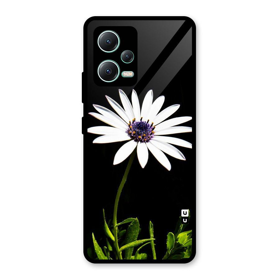 Flower White Spring Glass Back Case for Redmi Note 12 5G