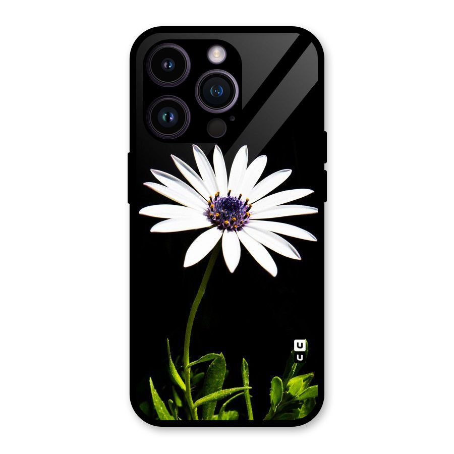 Flower White Spring Glass Back Case for iPhone 14 Pro