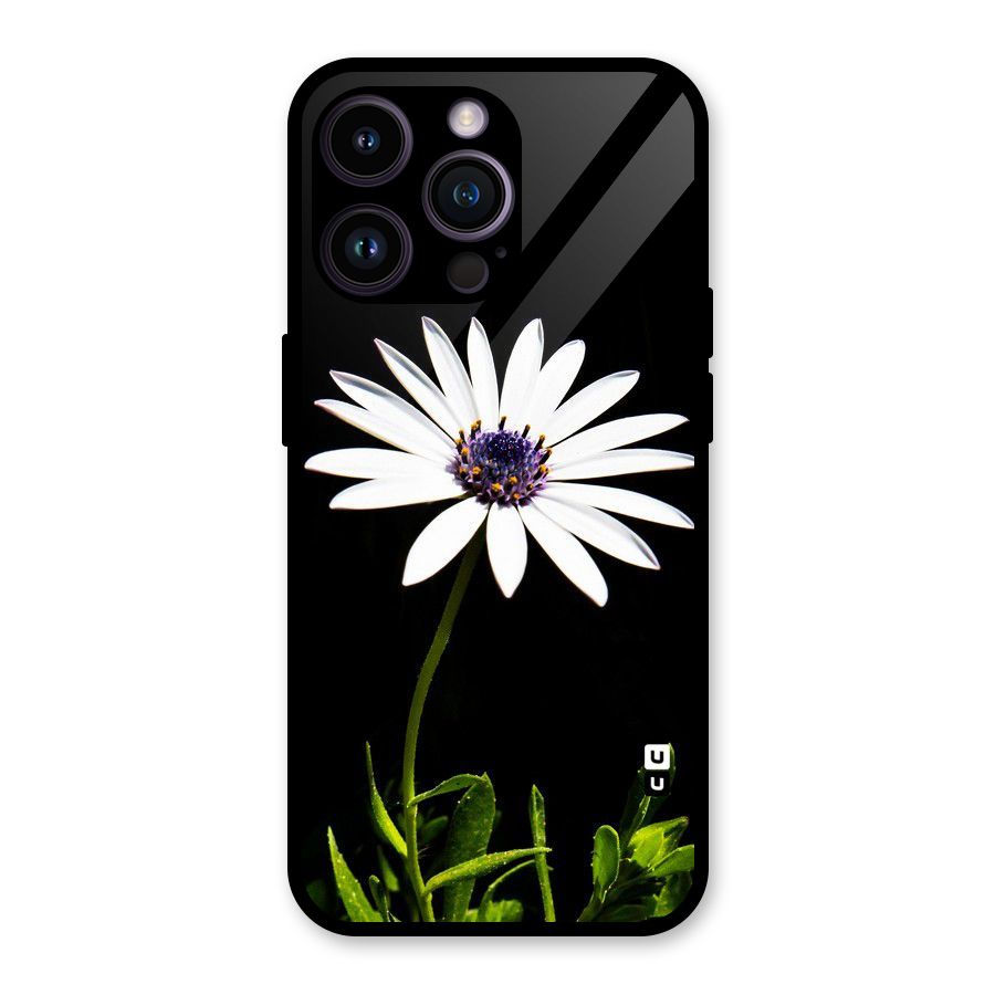 Flower White Spring Glass Back Case for iPhone 14 Pro Max