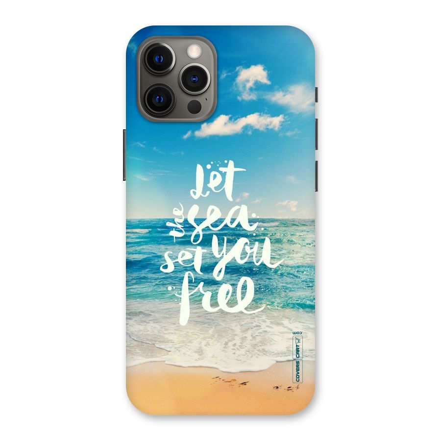 Free Sea Back Case for iPhone 12 Pro Max