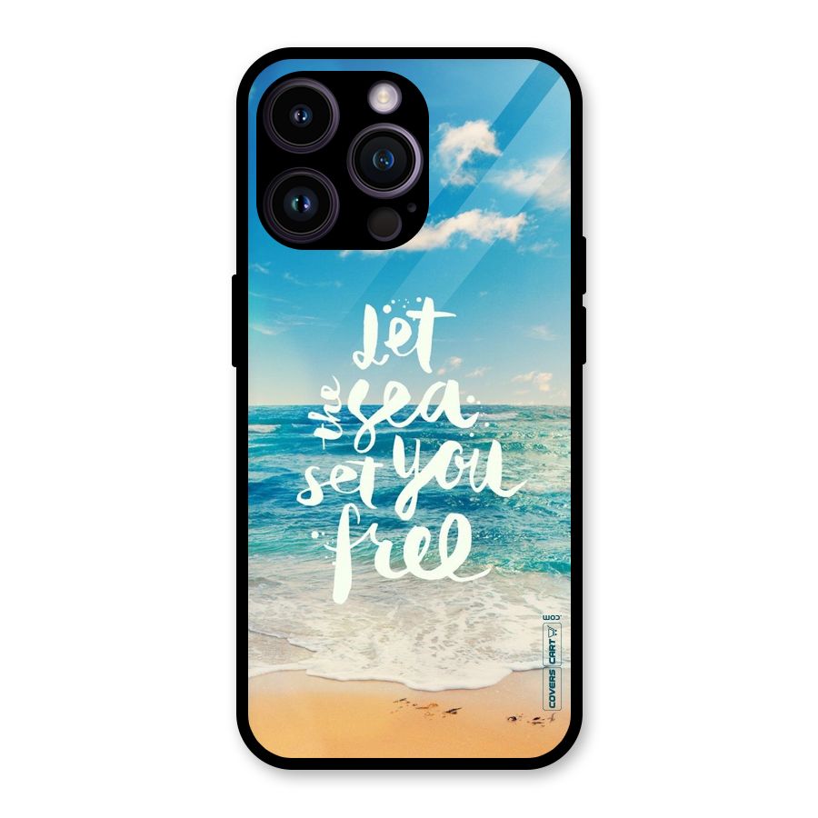 Free Sea Glass Back Case for iPhone 14 Pro Max