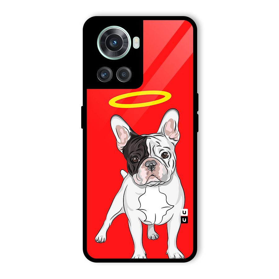 French Cute Angel Doggo Glass Back Case for OnePlus 10R