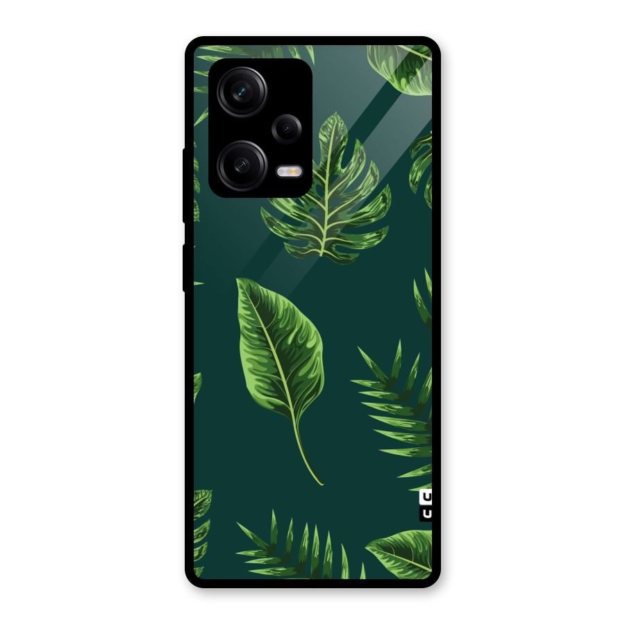Green Leafs Glass Back Case for Redmi Note 12 Pro