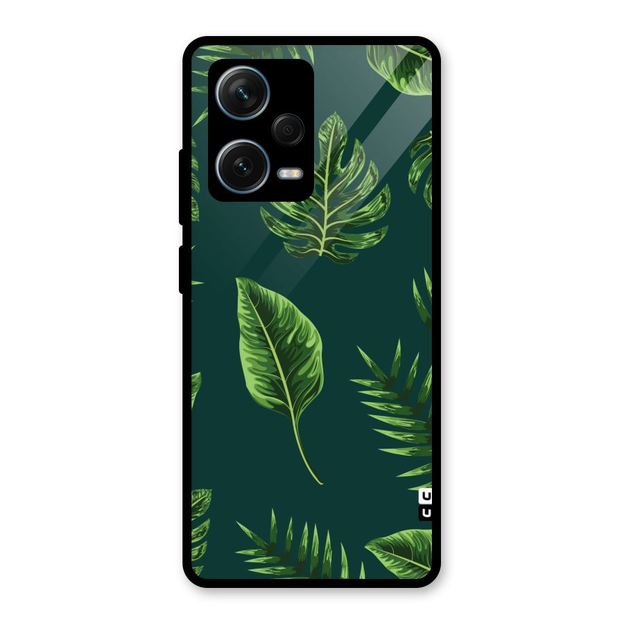 Green Leafs Glass Back Case for Redmi Note 12 Pro Plus 5G