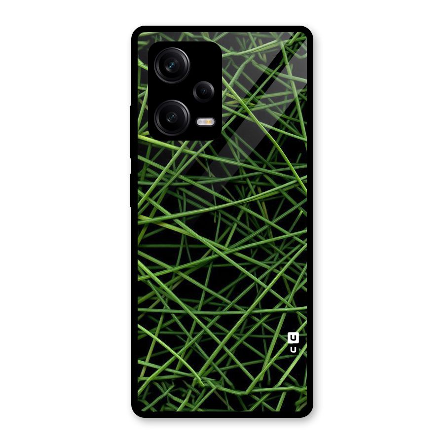 Green Lines Glass Back Case for Redmi Note 12 Pro