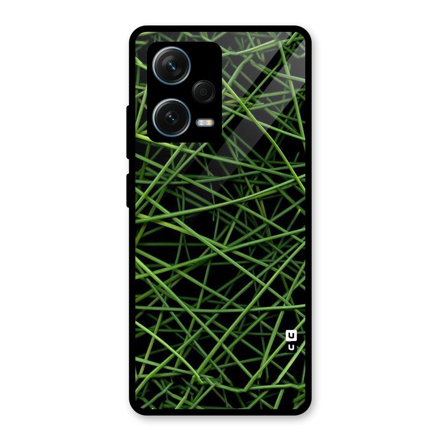 Green Lines Glass Back Case for Redmi Note 12 Pro Plus 5G