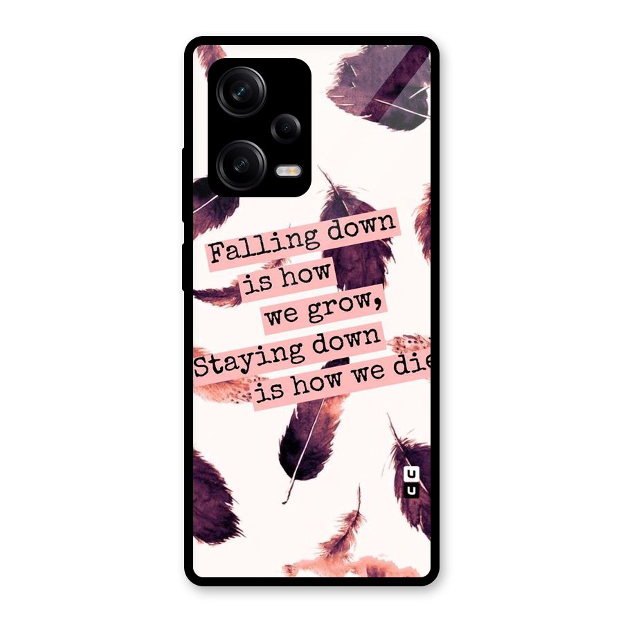 Grow Glass Back Case for Redmi Note 12 Pro