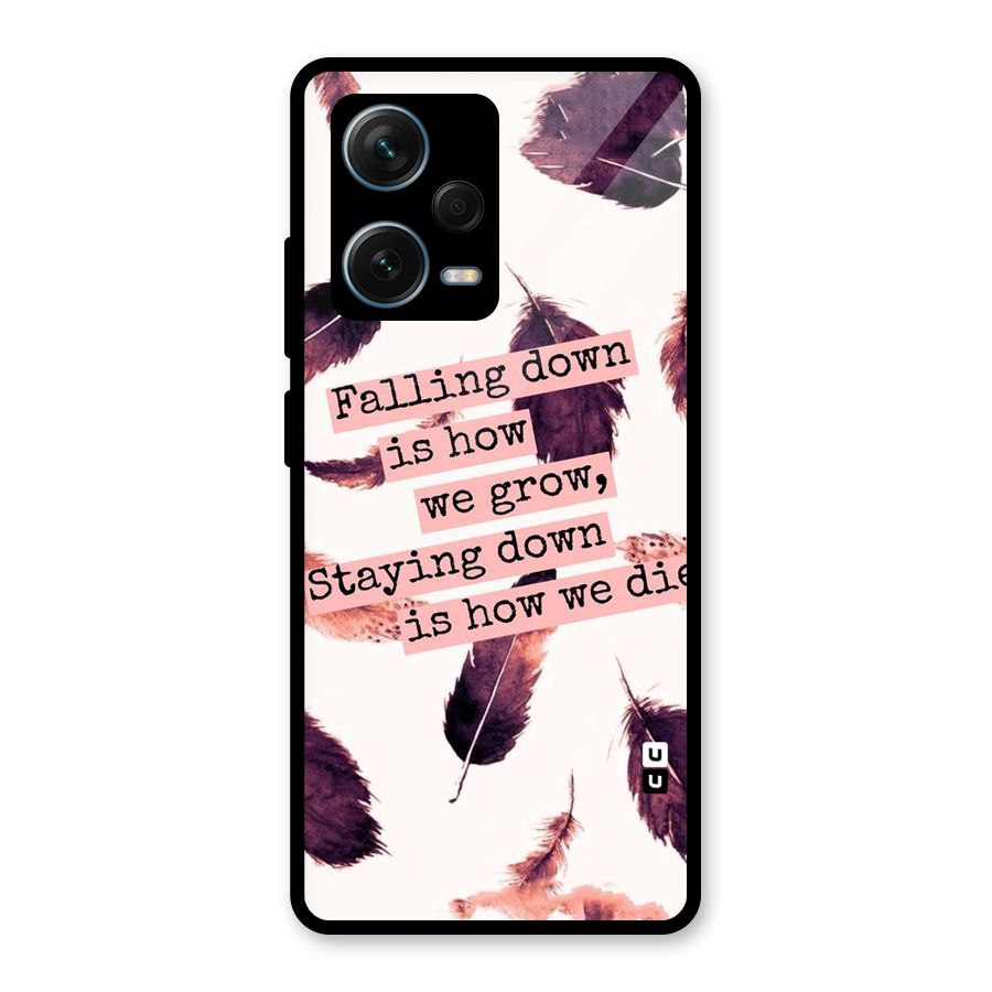 Grow Glass Back Case for Redmi Note 12 Pro Plus 5G