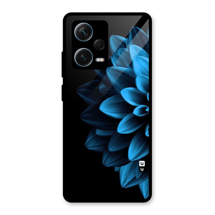 Half Blue Flower Glass Back Case for Redmi Note 12 Pro Plus 5G
