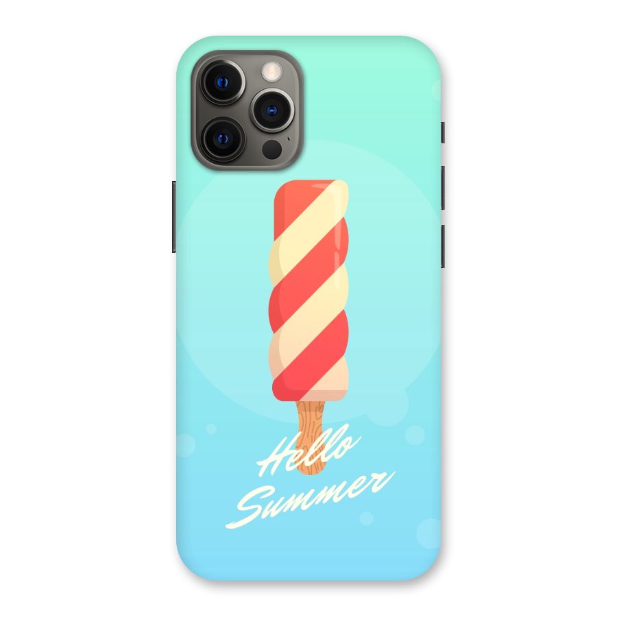 Hello Summer Back Case for iPhone 12 Pro Max