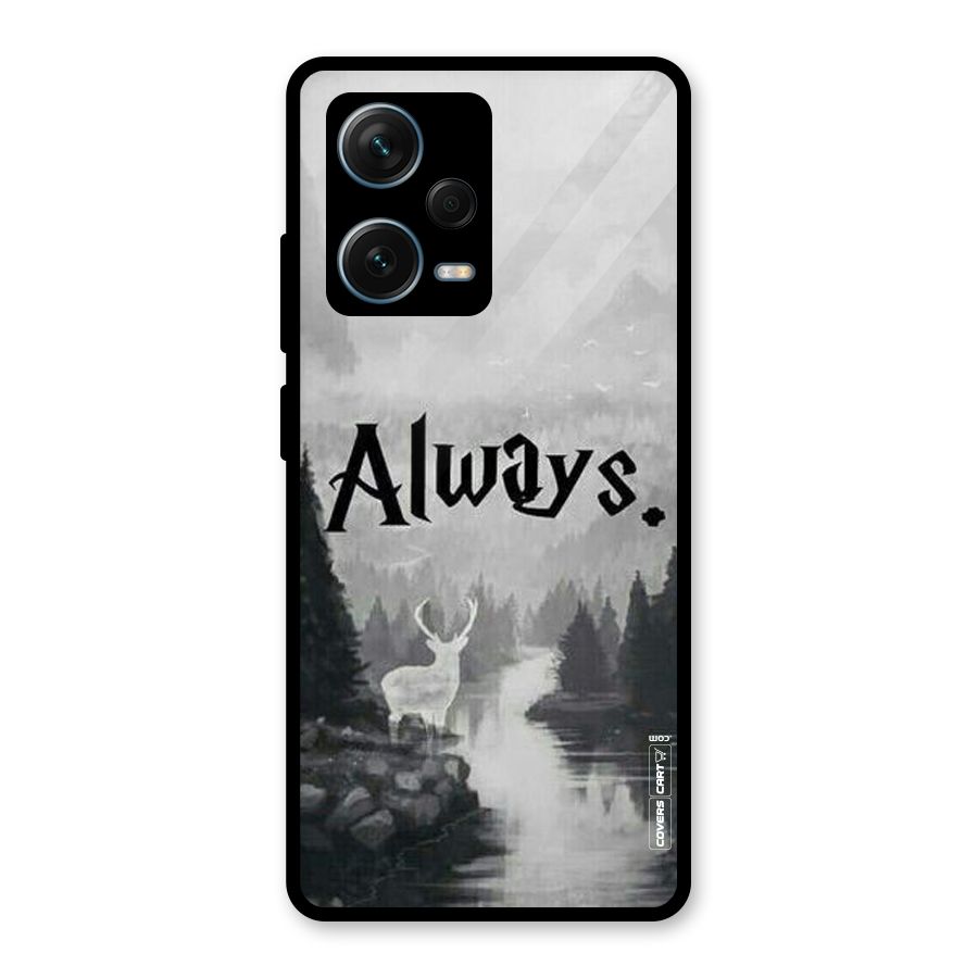 Invisible Deer Glass Back Case for Redmi Note 12 Pro Plus 5G