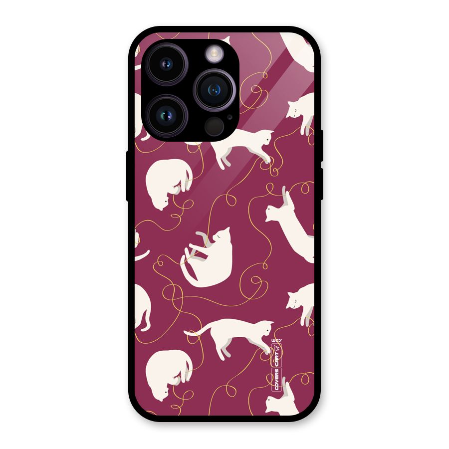 Lazy Kitty Glass Back Case for iPhone 14 Pro