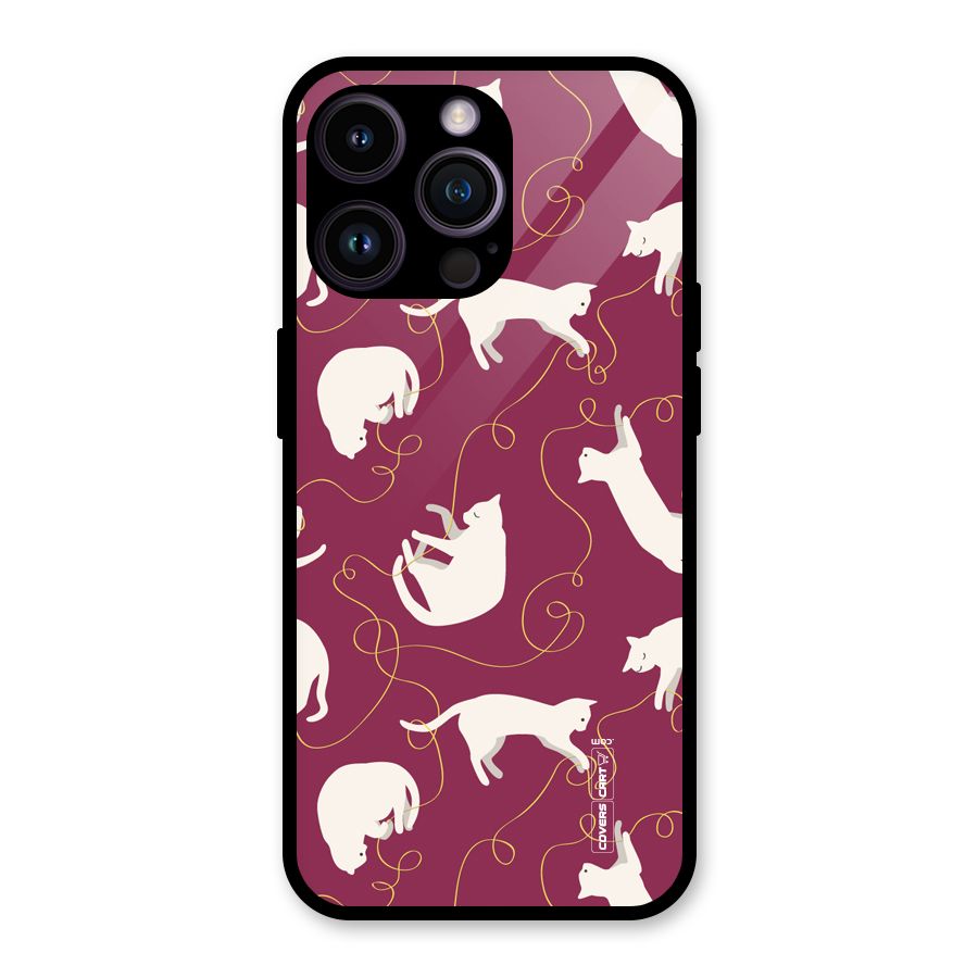 Lazy Kitty Glass Back Case for iPhone 14 Pro Max