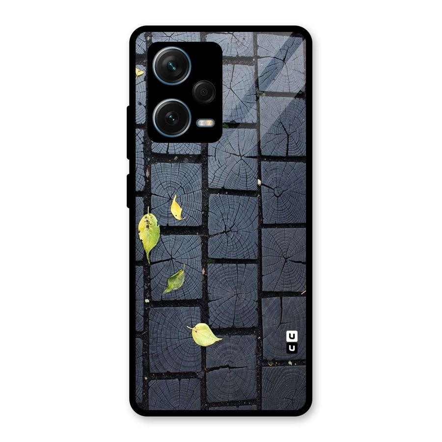 Leaf On Floor Glass Back Case for Redmi Note 12 Pro Plus 5G