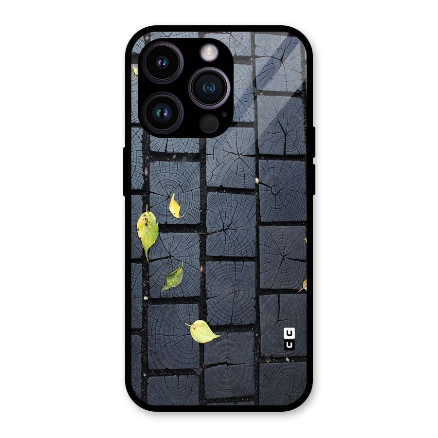 Leaf On Floor Glass Back Case for iPhone 14 Pro
