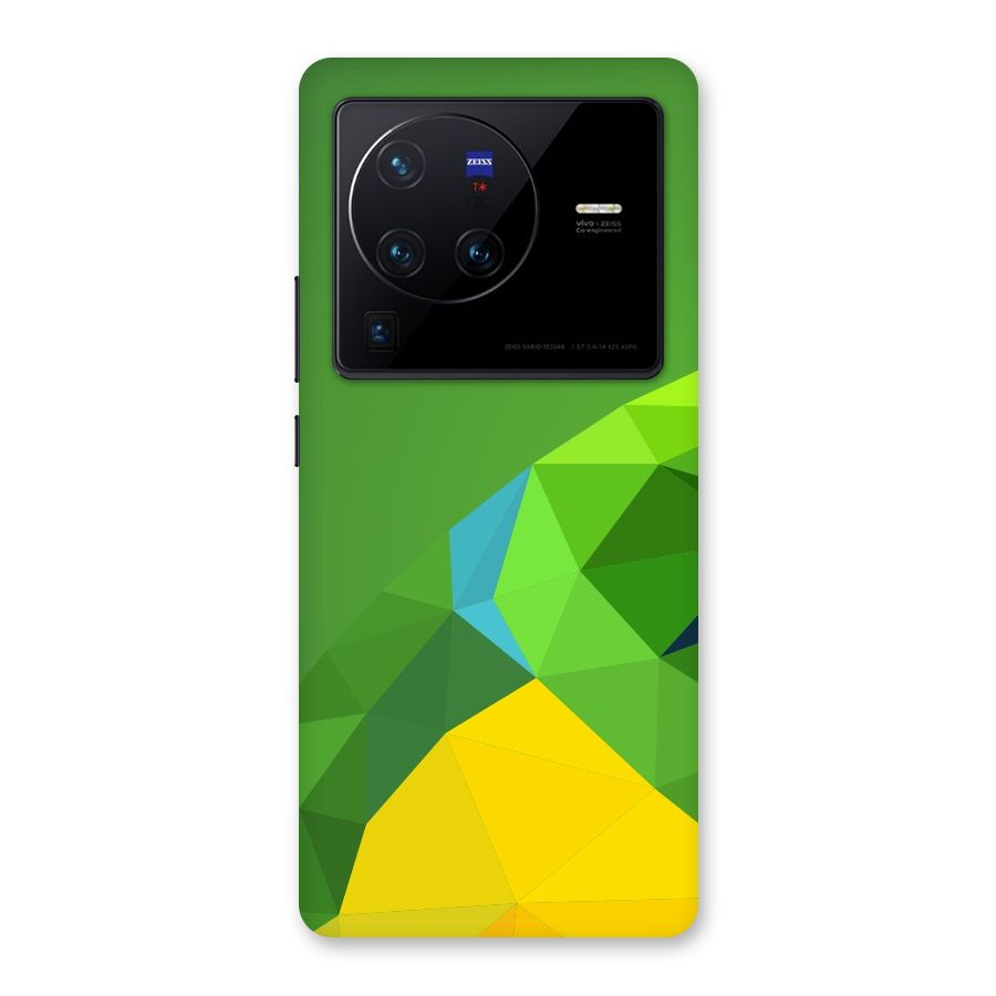 Little Bird Back Case for Vivo X80 Pro