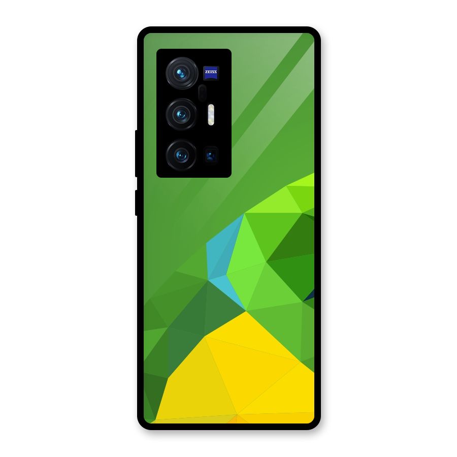 Little Bird Glass Back Case for Vivo X70 Pro Plus