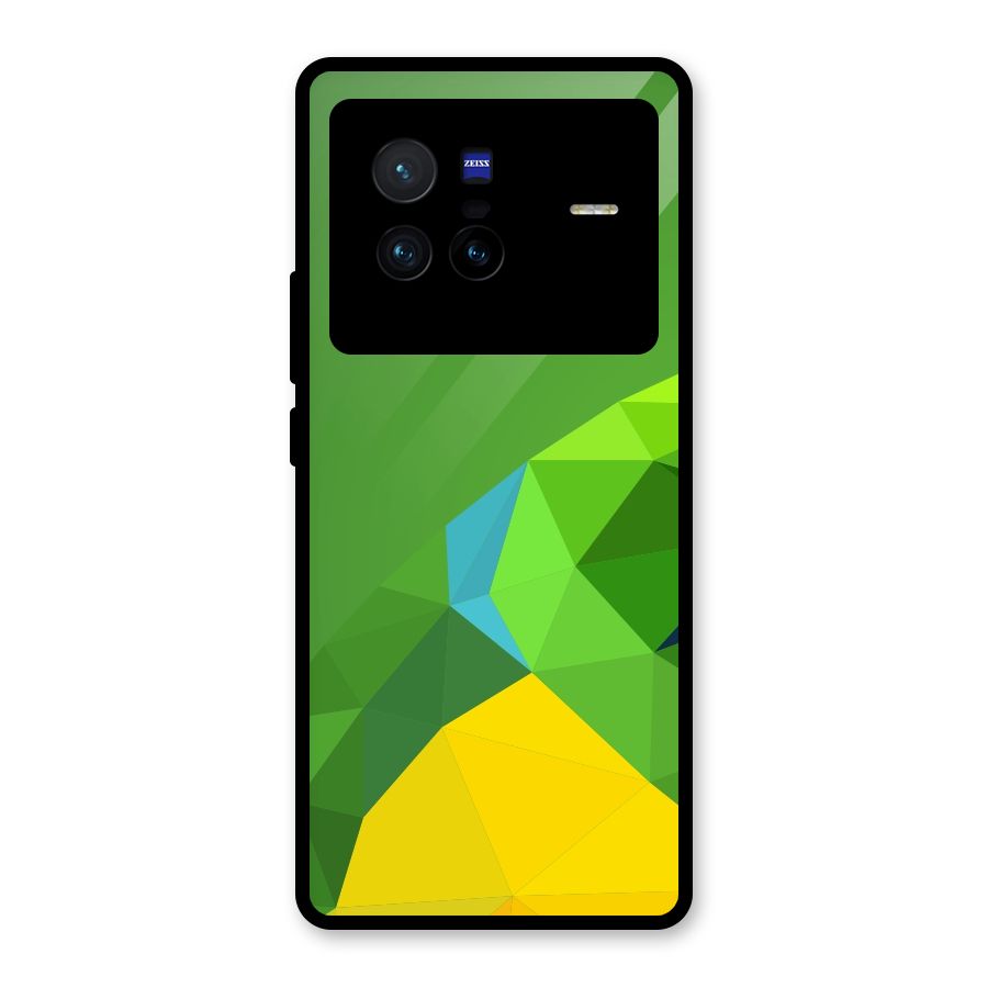 Little Bird Glass Back Case for Vivo X80
