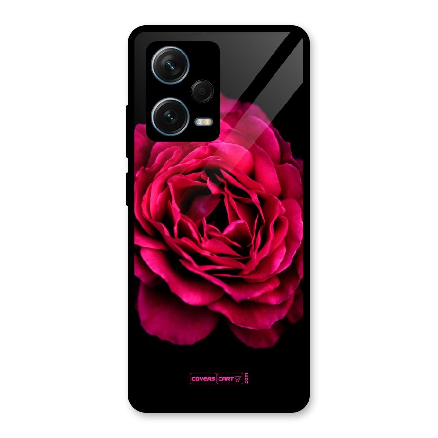 Magical Rose Glass Back Case for Redmi Note 12 Pro Plus 5G