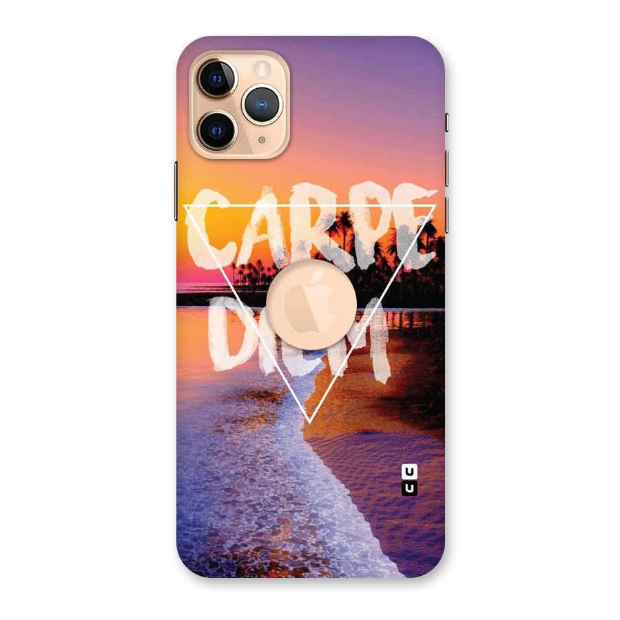 Oceanic Diem Back Case for iPhone 11 Pro Max Logo Cut