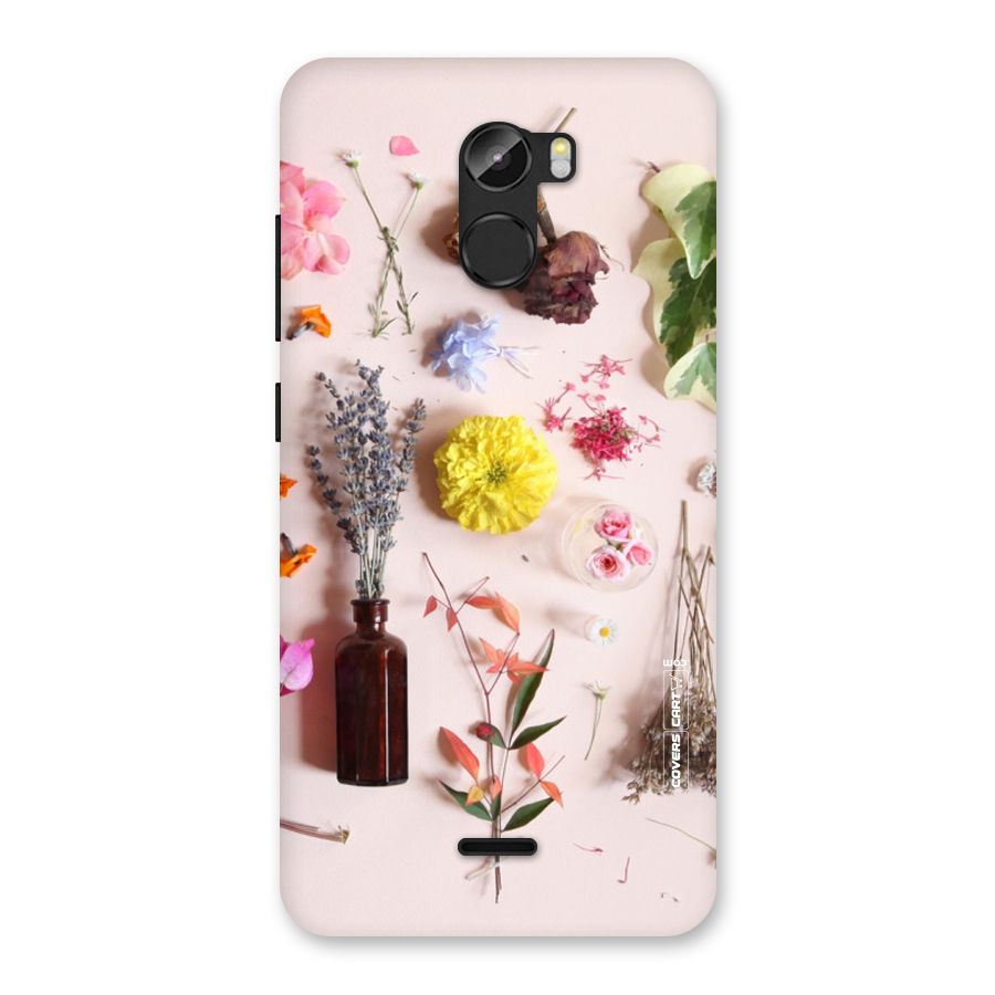 Old Petals Back Case for Gionee X1