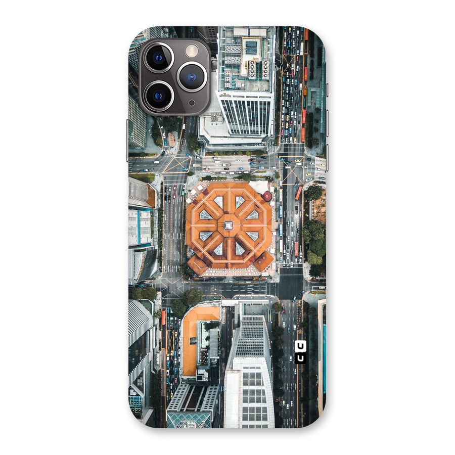 Orange Dome Back Case for iPhone 11 Pro Max