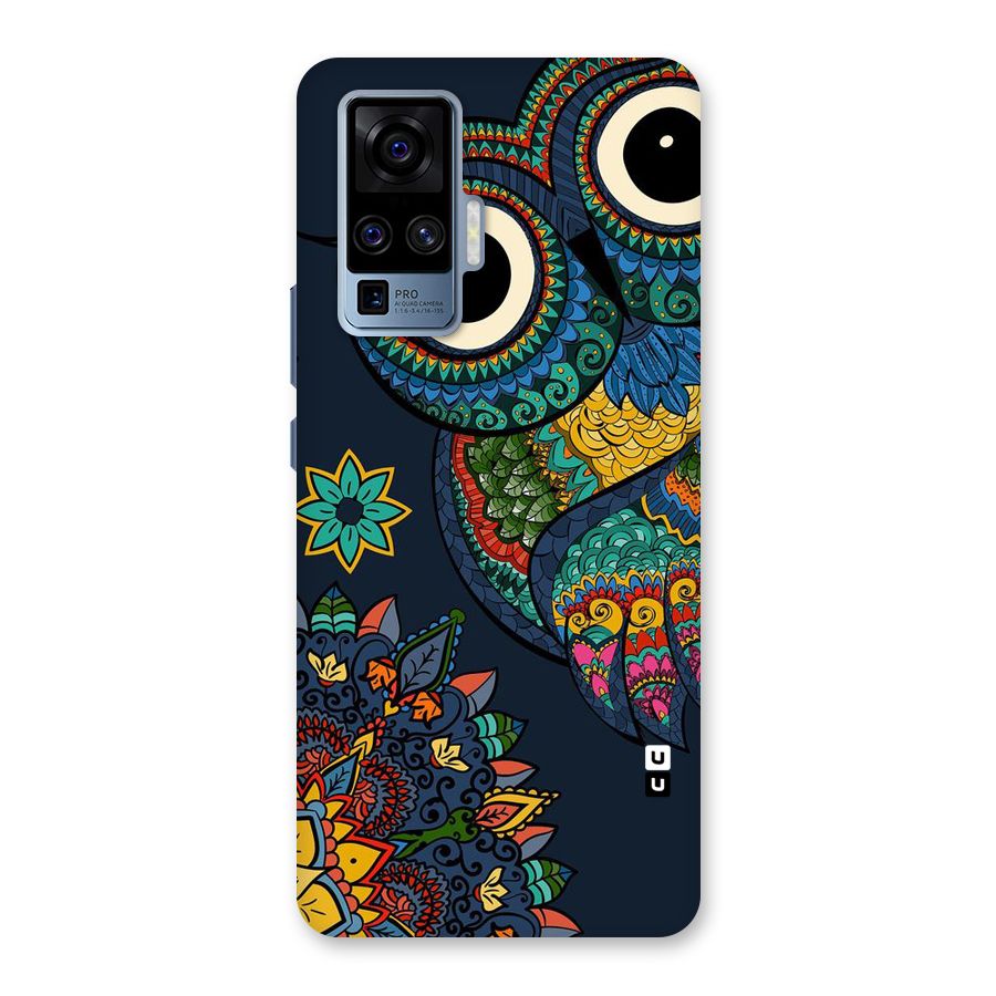 Owl Eyes Back Case for Vivo X50 Pro