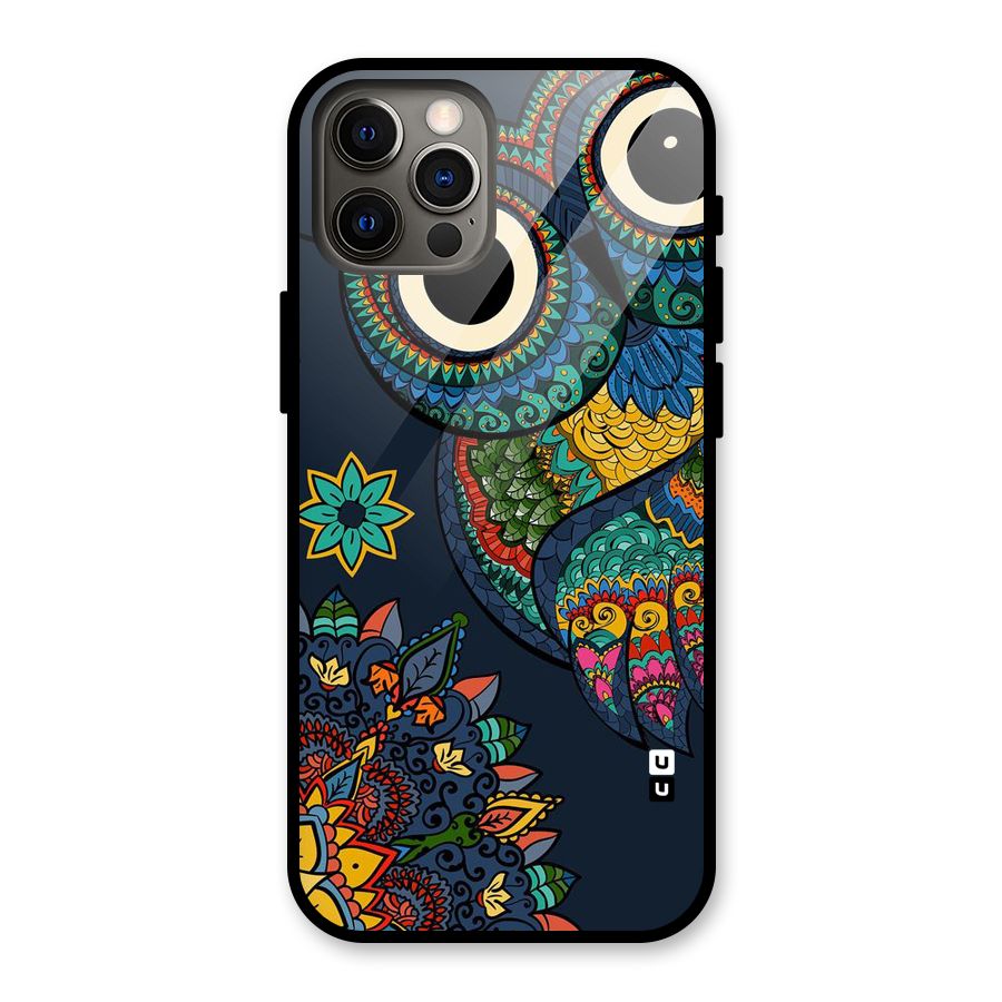 Owl Eyes Glass Back Case for iPhone 12 Pro